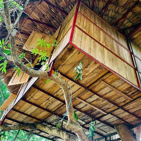 ホテル Muong Retreat- Nghi Duong Xanh Trong Bao Tang Van Hoa Nghe Thuat,Hòa Bình エクステリア 写真