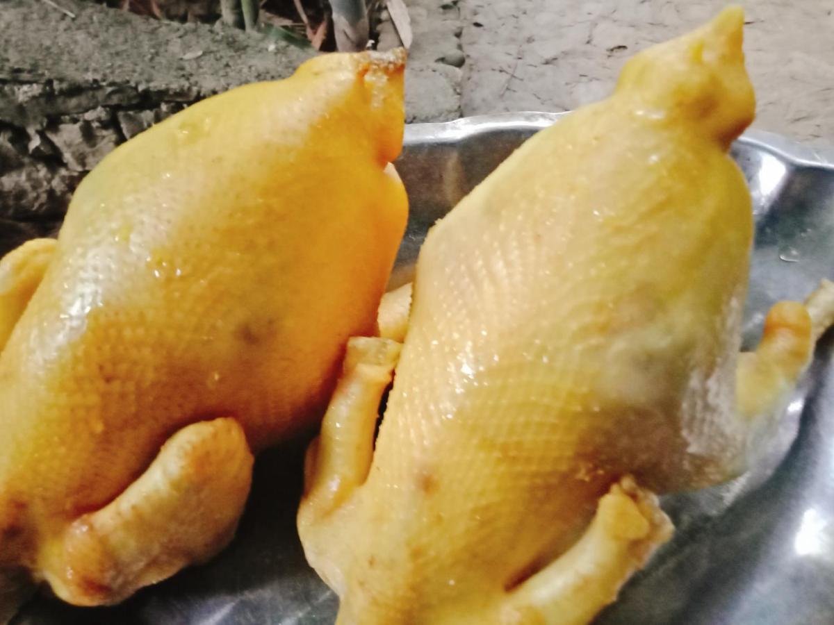 ホテル Muong Retreat- Nghi Duong Xanh Trong Bao Tang Van Hoa Nghe Thuat,Hòa Bình エクステリア 写真