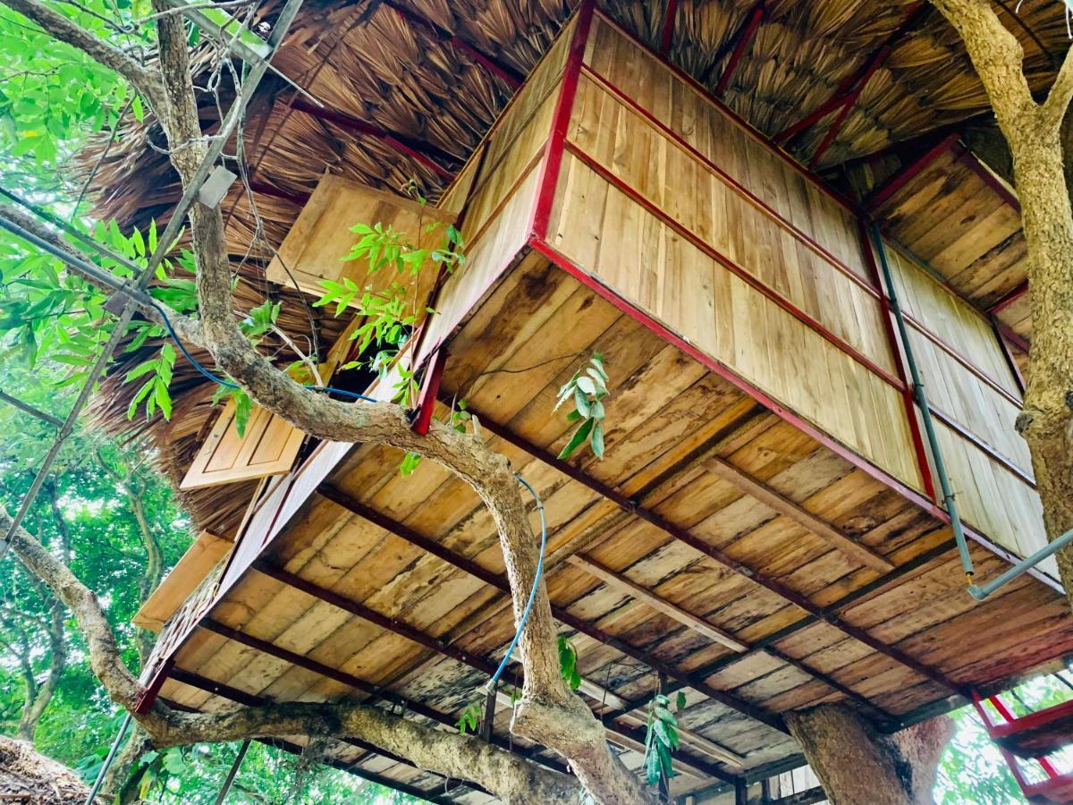 ホテル Muong Retreat- Nghi Duong Xanh Trong Bao Tang Van Hoa Nghe Thuat,Hòa Bình エクステリア 写真