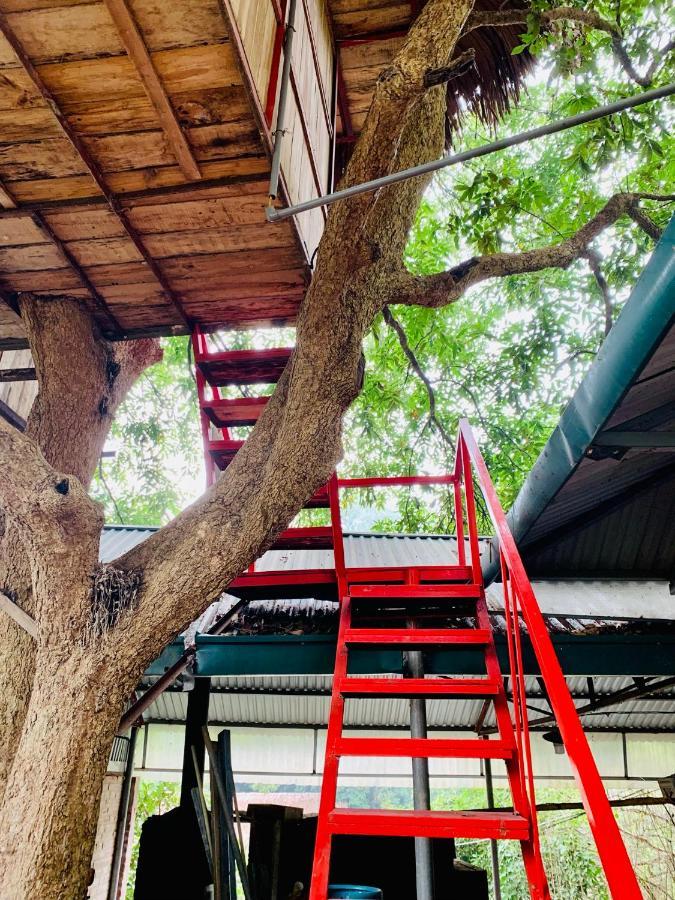 ホテル Muong Retreat- Nghi Duong Xanh Trong Bao Tang Van Hoa Nghe Thuat,Hòa Bình エクステリア 写真